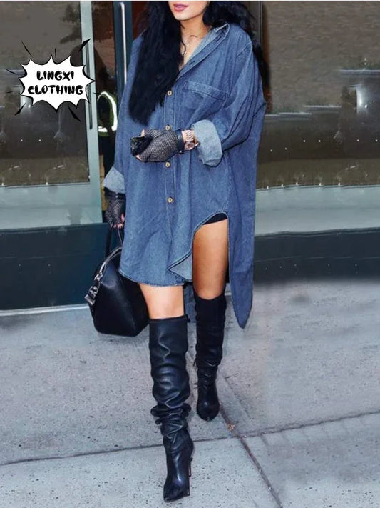 2025 Spring Loose Washed Single breasted Retro Long Sleeve Denim Dress